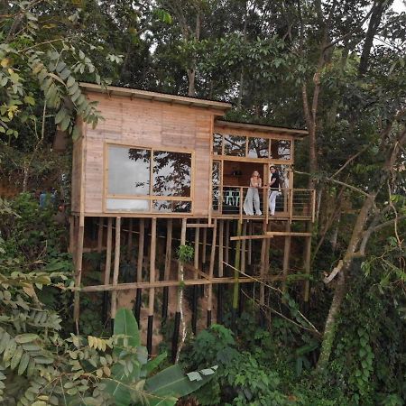 Luxury Tiny House - Minca Villa Exterior foto